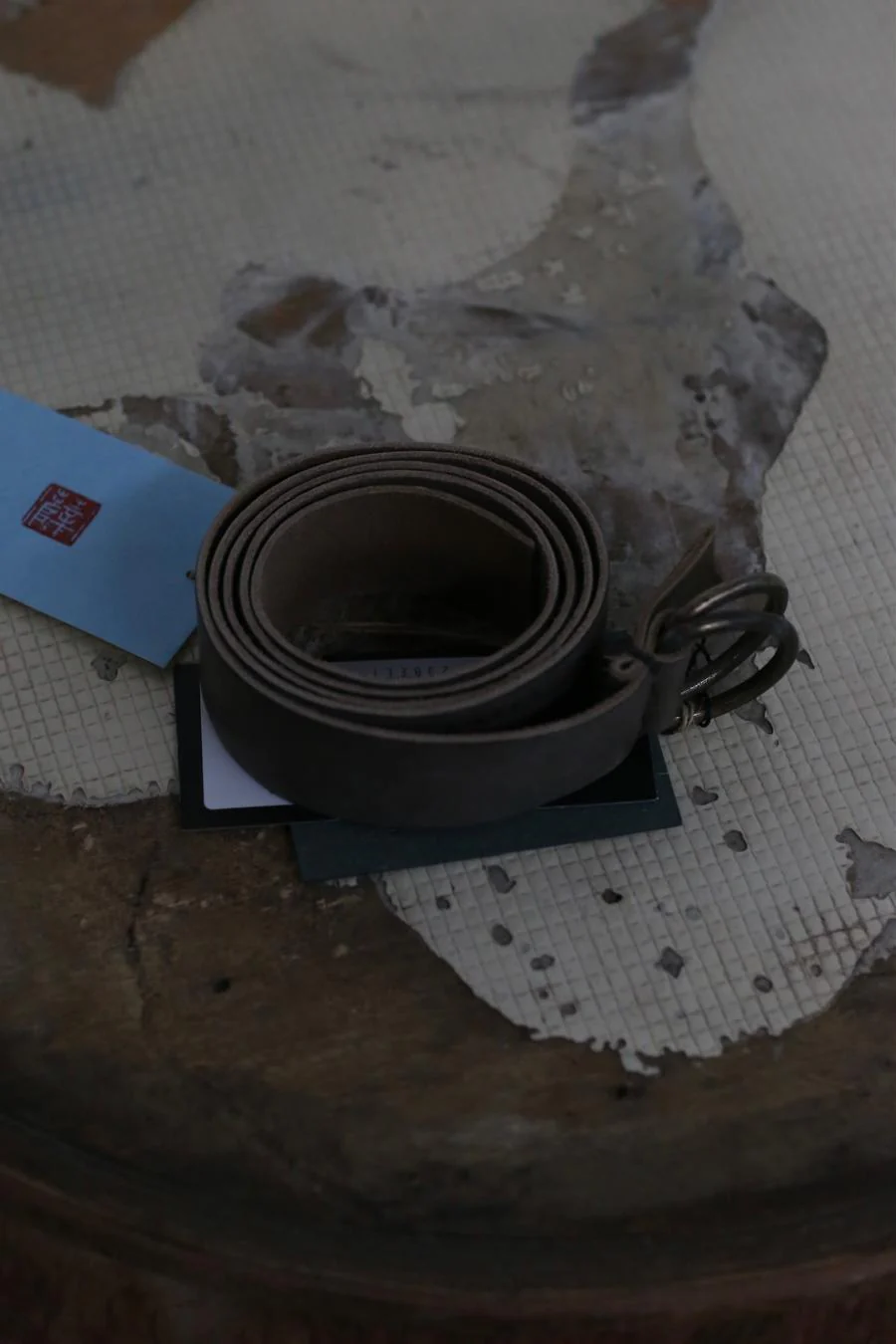 AVIVA JIFEI XUE D-ring belt SS23-BELT-ABR - Image 3