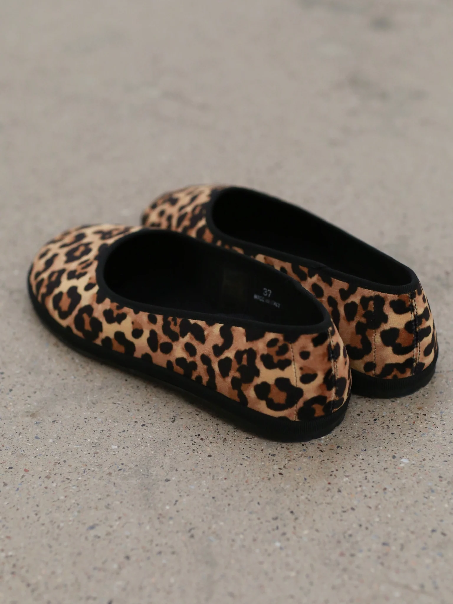 Drogheria Crivellini Fall/Winter 2025 Ballet Elastic Round-Toe Shoes DC-BBRE VE CH YWX-BW Leopard Print - Image 4