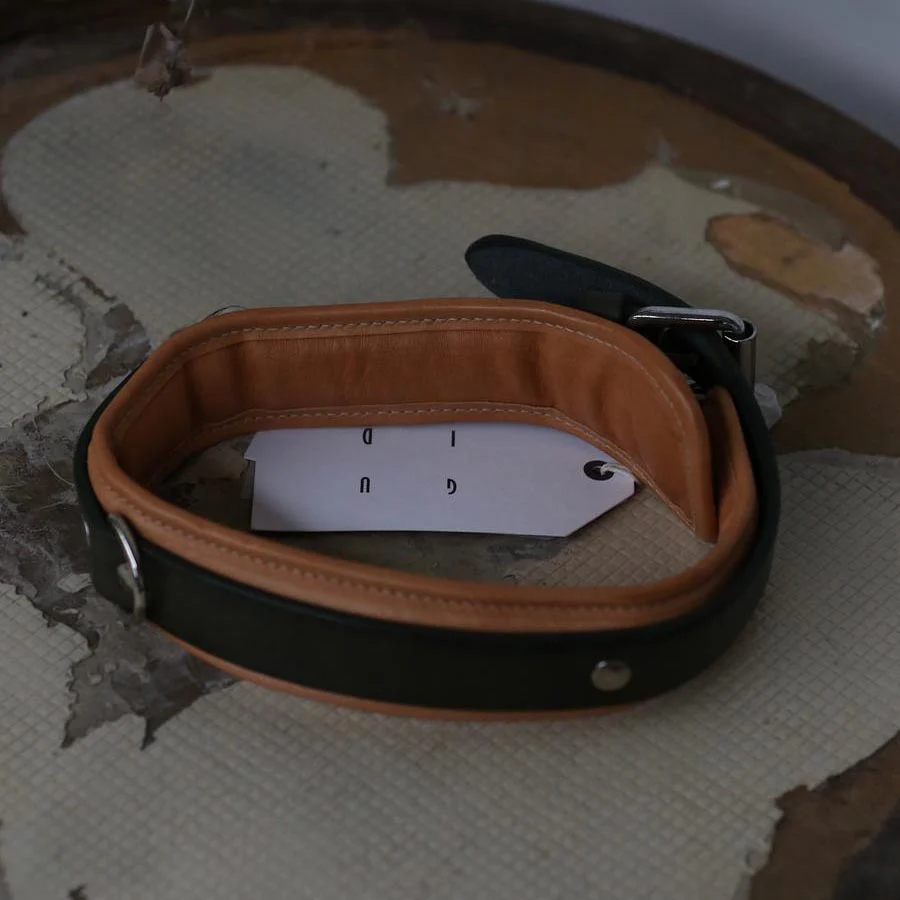 Guidi dog collar CL03 PG3 - Image 3