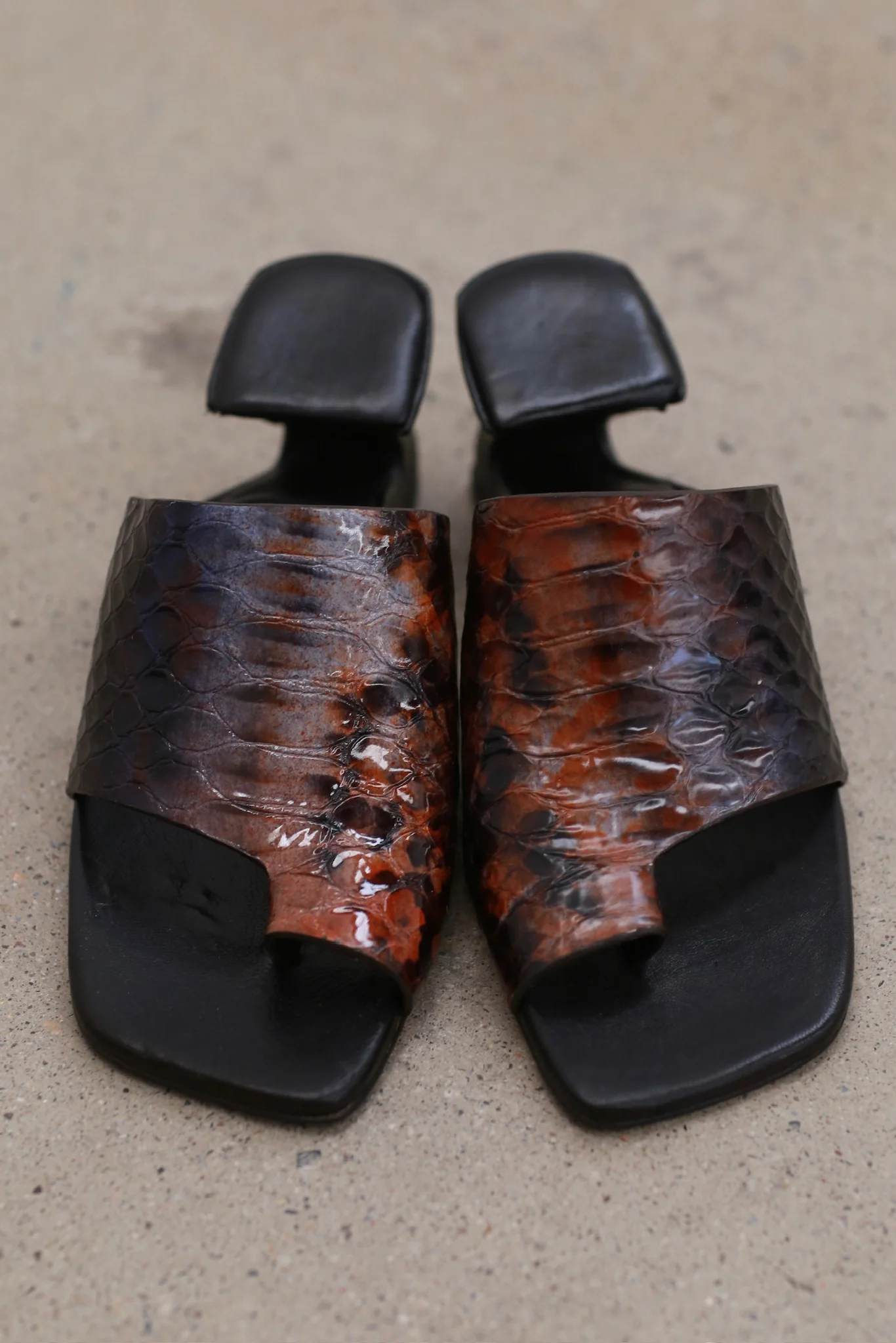 Miista Gale Brown Snake Sandals MST-MI_5695-BROWN - Image 2