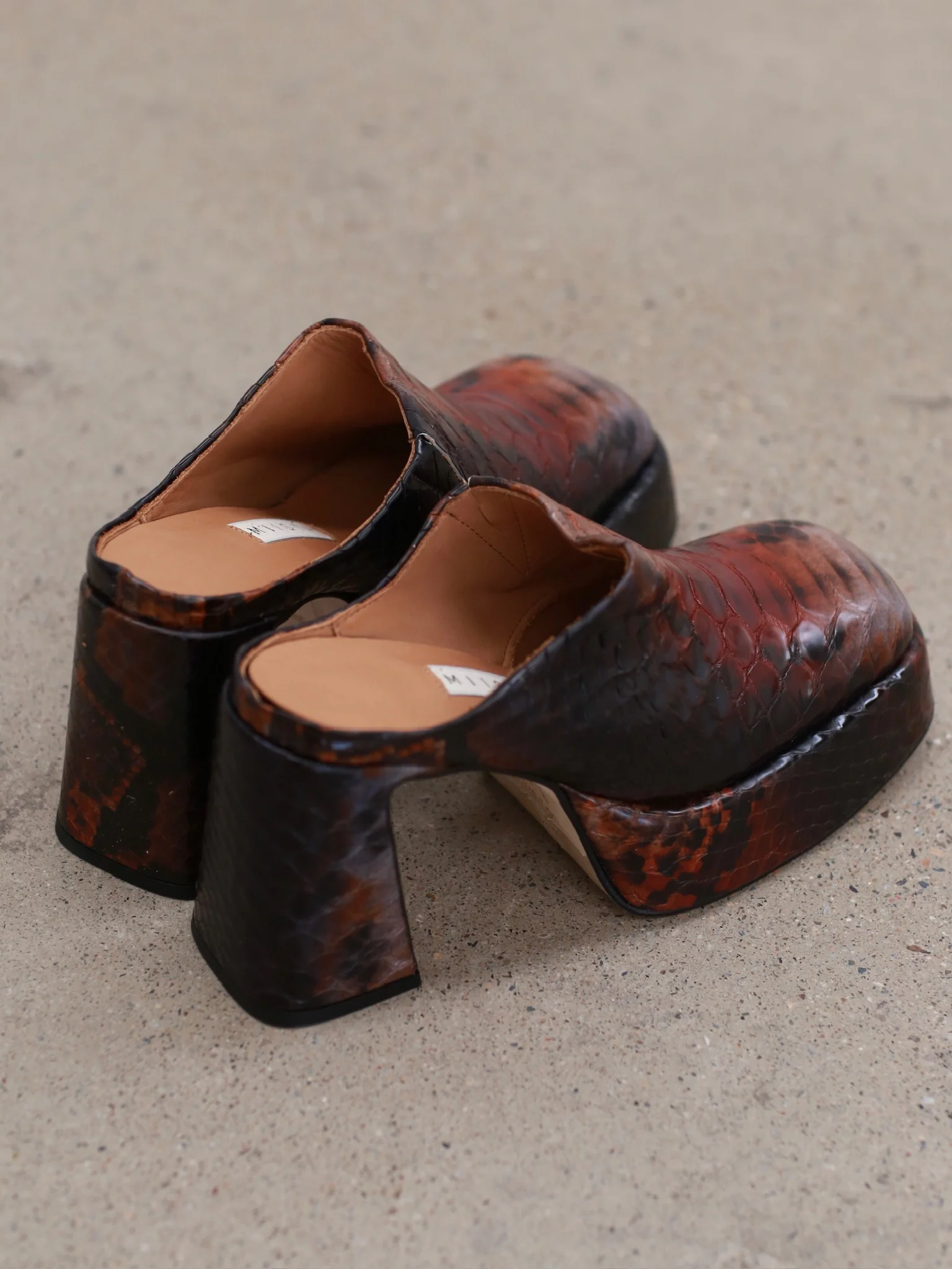 Miista Iben brown snake print mules MST-MI_5687-BROWN - Image 4