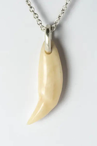 Parts of Four Beartooth Ghost Necklace 1622-4-B+MA PPOF40 - Image 2