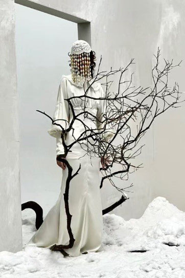 Peng Tai 24 Autumn and Winter Velvet Long Dress PT-PTW24C01-1 - Image 11