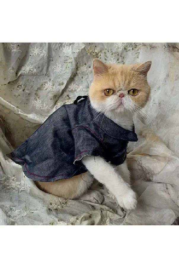 pengtai cat cat clothes denim blue S20252 PPT94 - Image 4