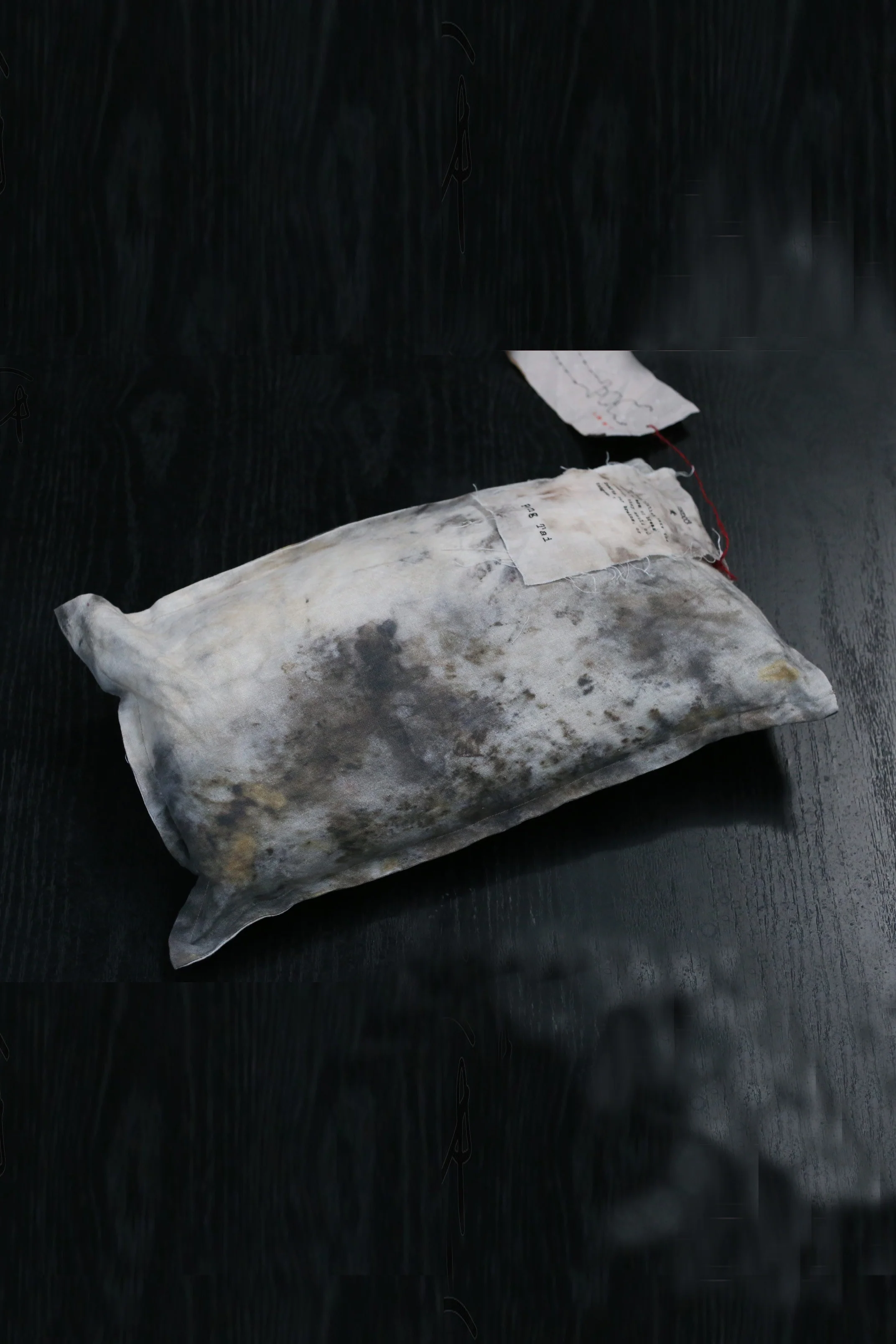 pengtai rectangular pillow MRS22F03-2 PPT22