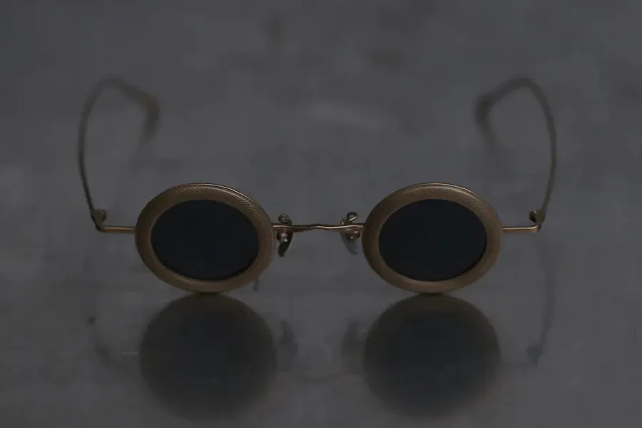 Rigards retro gold frame dark gray lens glasses RG1009TI - Image 2