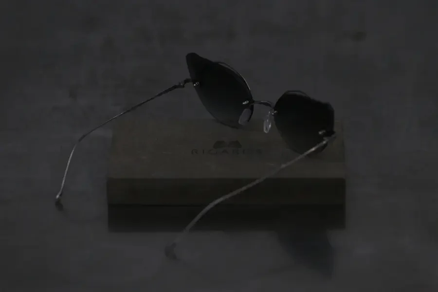 Rigards Silver Frame Blue Glasses RG1051TI - Image 4