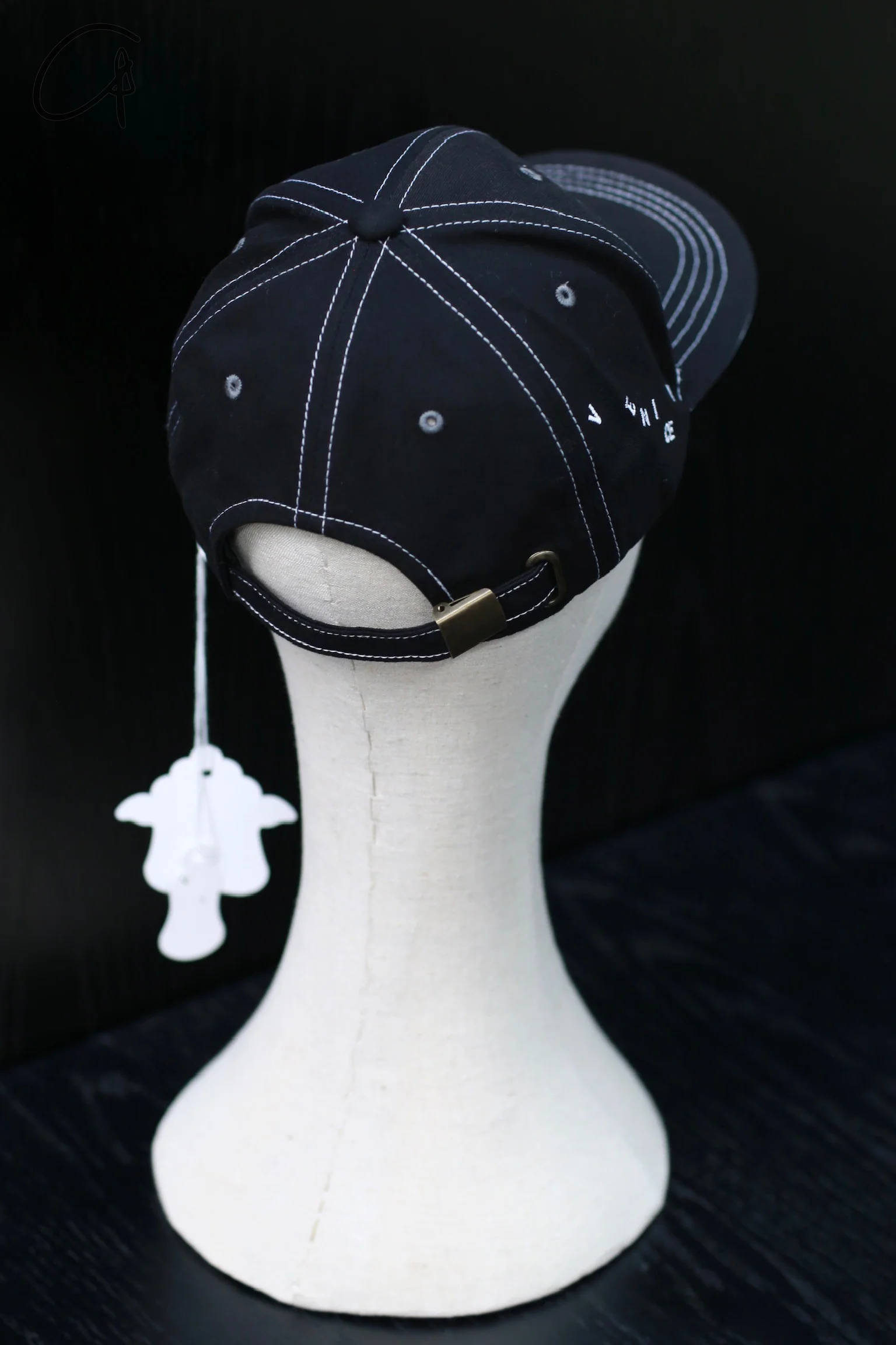 VeniceW 24 spring and summer canvas logo embroidered peaked cap series VCW-H0-HEILV black and green - Image 3